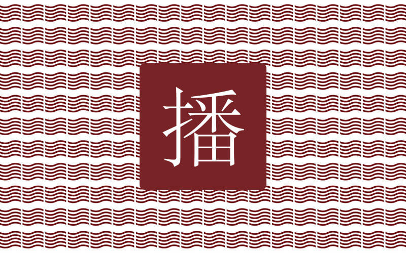 IDIS China Program Podcast
